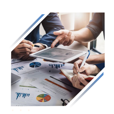 Investor Information