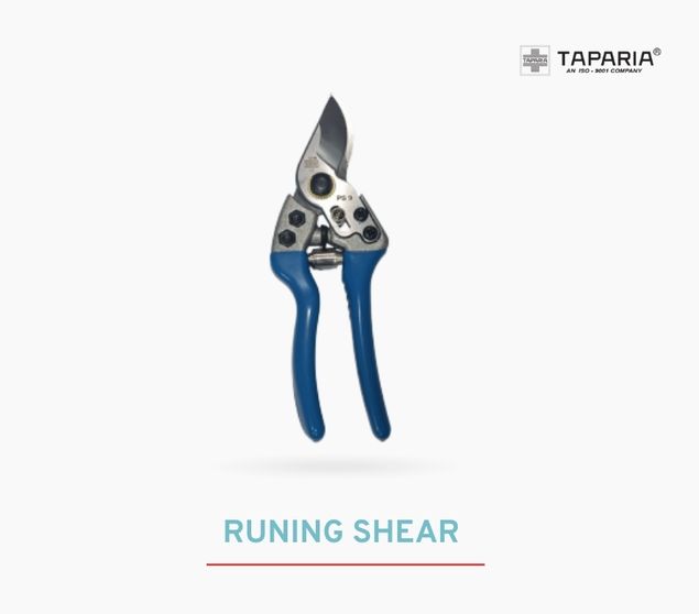 Pruning Shear